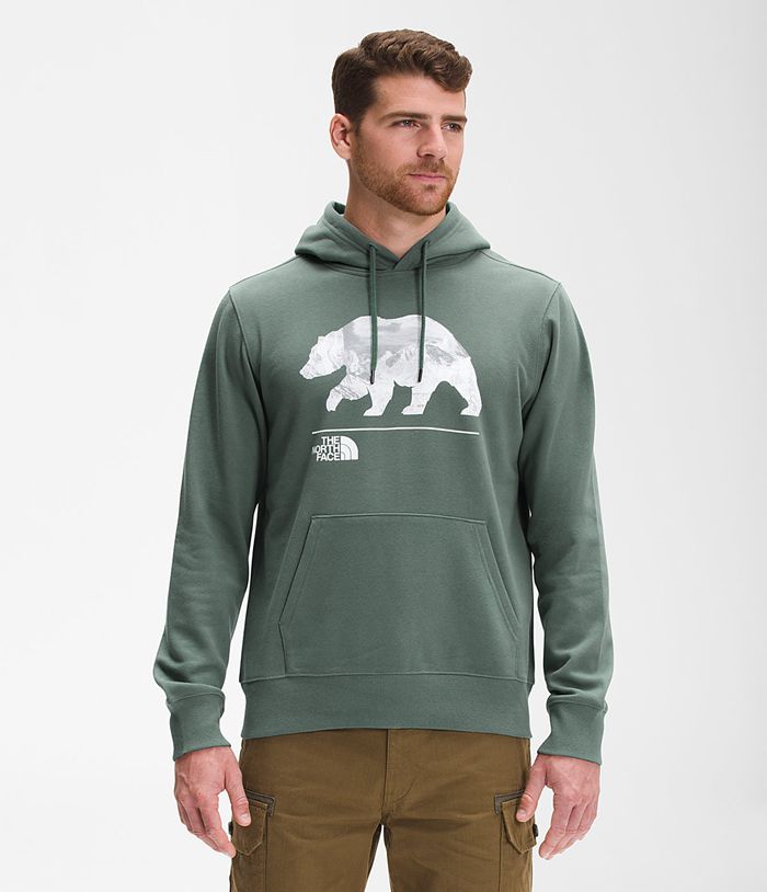 Sudadera Con Capucha The North Face Hombre Bearscape Pullover Verde - Peru 09265IKPN